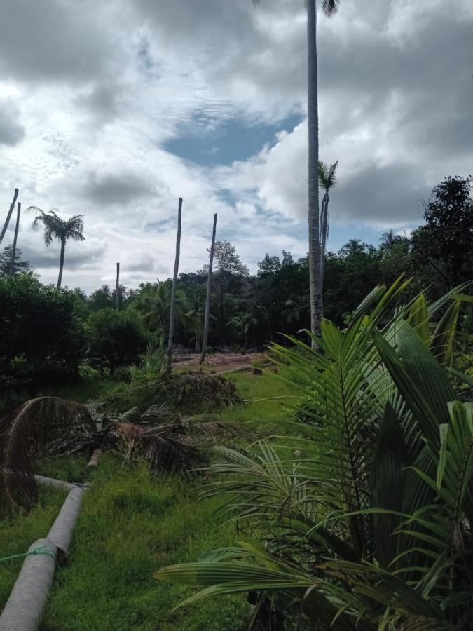 Chom Suan Farmstay Ko Kut Exterior foto