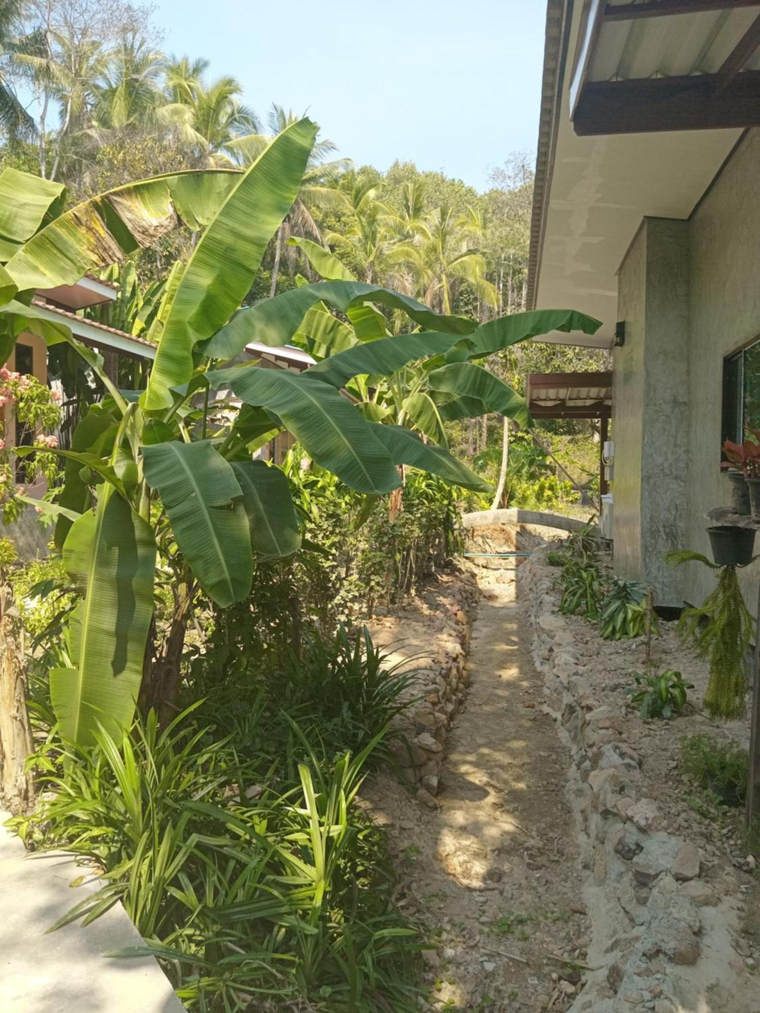 Chom Suan Farmstay Ko Kut Exterior foto